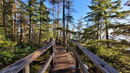 wooden bridge in the forest - Juniper Point Boardwalk at Lighthouse Park, West Vancouver