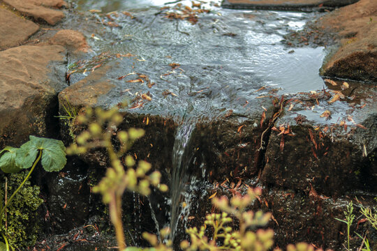moss-covered rocks and water