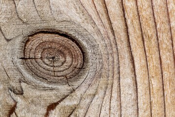 Knothole closeup in a wooden pine fence showing abstract details, patterns and textures.