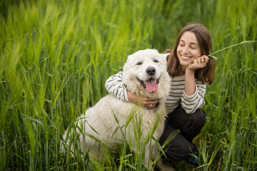 A portrait of happy woman staying in green rye field enjoys calm nature while cute big sheepdog pulled out pink tongue. Freedom and meditation concept. 