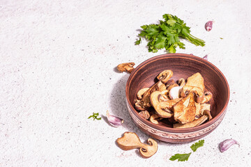 Dried mushrooms Boletus edulis (Penny bun, Cep, Porcini) on textured plaster background