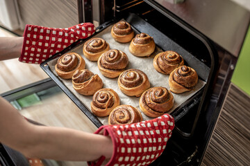 Female hands are taking out fresh fragrant cinnamon rolls from the hot oven. Concept of the homemade baking and cooking
