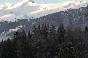 Berge in den Schweizer Alpen, Lenzerheide, Schweiz 