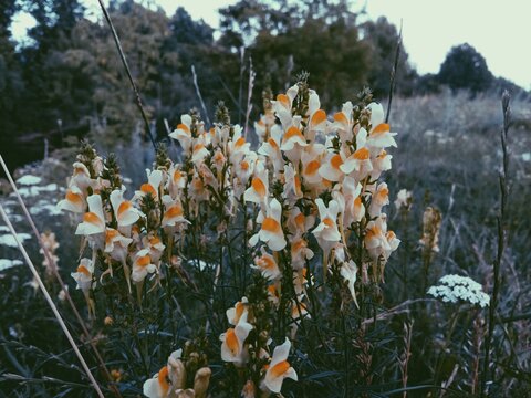 Processed with VSCO with p5 preset