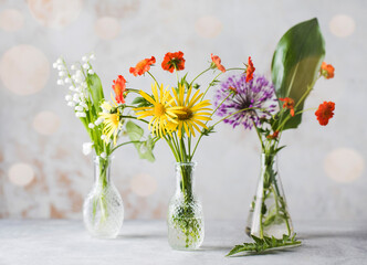 Beautiful summer flowers in glass vases. Summer background. Greeting Card