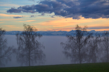 Herbstimpressionen mit Nebel, Seerücken, Kanton Thurgau, Schweiz