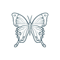Butterfly. Trend vector illustration. For wedding decoration, logo. Linear art.