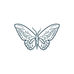 Fototapeta na wymiar Butterfly. Trend vector illustration. For wedding decoration, logo. Linear art.