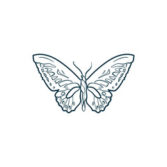 Butterfly. Trend vector illustration. For wedding decoration, logo. Linear art.