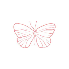 Butterfly. Trend vector illustration. For wedding decoration, logo. Linear art.