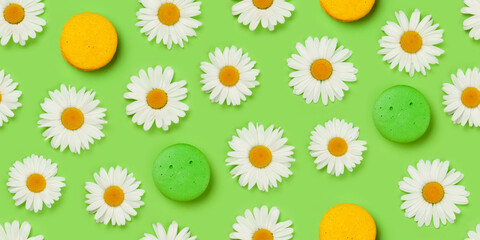 Chamomile flower and macaroons seamless texture