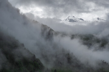 Foggy swiss alpine landscape -  forest in mist