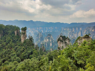 Fototapeta na wymiar The sandstone pillars. Mountains in the national park Wulingyuan. Trees on rocks. Zhangjiajie. UNESCO World Heritage Site. China. Asia