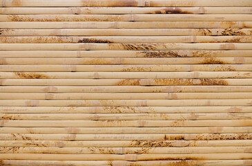 Modern natural wood pattern textured background for design and decoration, blank for text.