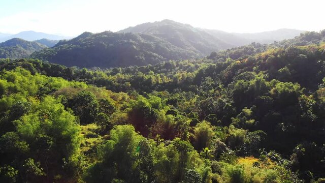 Jungle covered mountains in the Philippines, Aerial view	