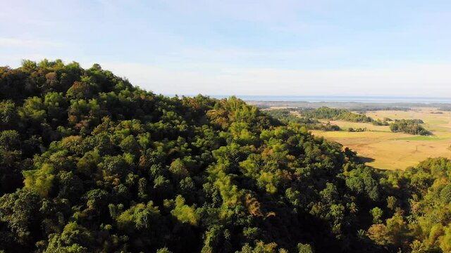 Jungle covered mountains in the Philippines, Aerial view	