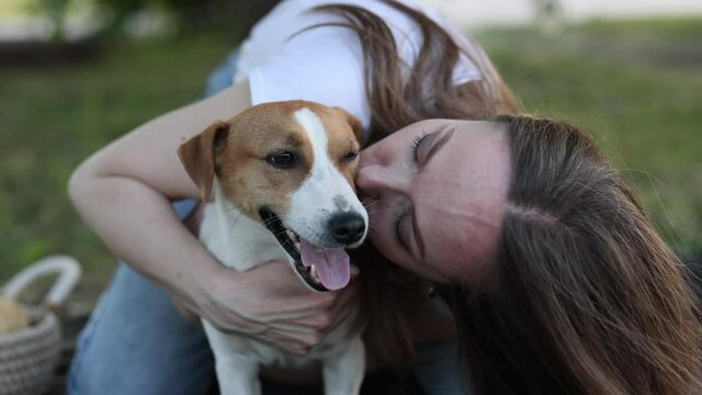 A fun and crazy Jack Russell Terrier dog on a walk. a Caucasian girl in a T-shirt and jeans kisses a dog. Glade and green grass, sunny day. The concept of a summer walk.