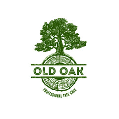 Old Oak Professional Arborist Tree Care Service Organic Eco Sign Concept. Landscaping Design Craft Raw Logo. Rustic Vector Banner Illustration