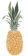 Vector illustration of pineapple. Tropical food illustration.