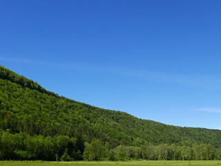 Fototapeta na wymiar idilliaca vista della verde regione francese del jura