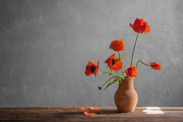 red poppy in jug on dark background