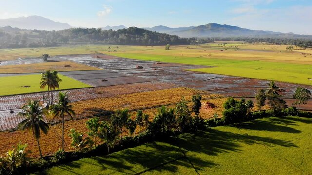Aerial over arable land in mountain valley in the Philippines