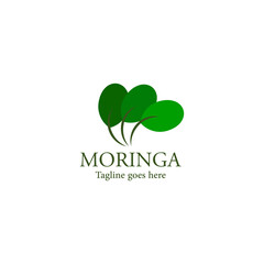 Fototapeta premium Moringa oleifera Leaf Logo Template