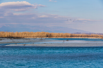 The river Piave / Montello in Italy