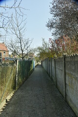 Ruelle pour promenade entre les murs de jardin à Ecaussinnes 