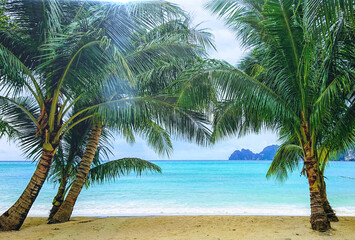 Obraz na płótnie Canvas Tropical beach with coconut palm tree and sky background.Island summer sea.Beautiful coast white sand and bluse sea.