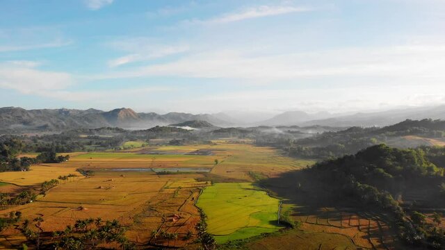 Aerial over arable land in mountain valley in the Philippines	