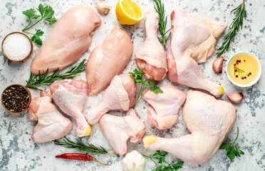 Different parts of chicken for barbecue with breast, legs and wings on stone background
