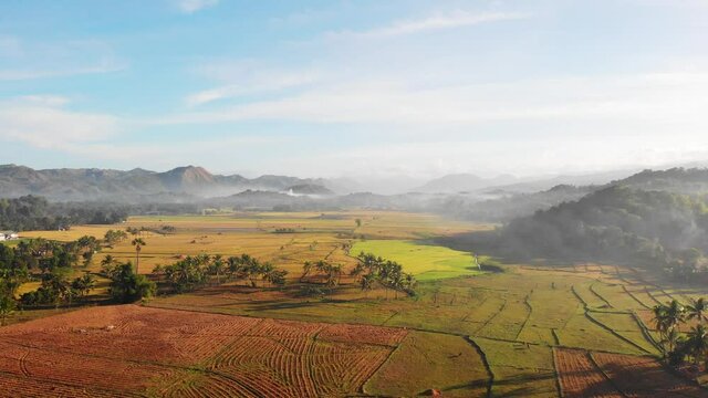 Aerial over arable land in mountain valley in the Philippines	