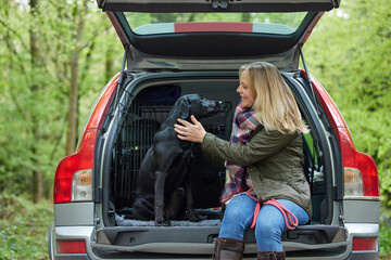 Mature Woman Sitting With Black Labrador In Back Of Car Before Going On Walk In Countryside