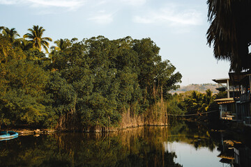 Manglars view in surf town, El Salvador