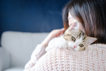 woman play and takecare scottish straight tabby classic kitten on her shoulder