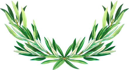 Olive tree branch arrangement, green leaves garland, vintage botanical illustration