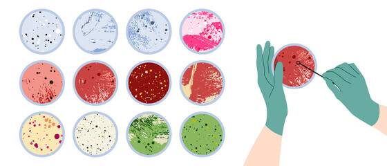 Scientist's hand in glove holding Petri dish, plate with agar, bacterial colony. Bacteriology. Microbiology. Laboratory test, bacteriological swab, chemical analysis. Vector flat cartoon illustration - obrazy, fototapety, plakaty
