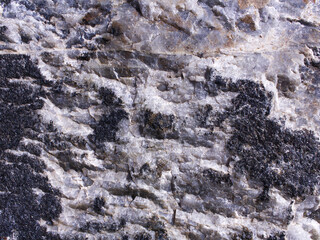 Stone texture of black white and gray colors. Rough rock surface. Natural material background. Boulder with quartz fractions and stains. High quality photo.