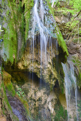 Beautiful waterfall in green forest in jungle. Jungle landscape with flowing red water of waterfall at deep tropical rain forest. National Park Old Mountain, Serbia