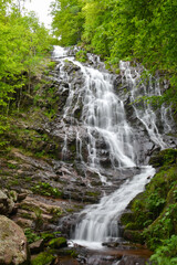 Fototapeta premium Beautiful waterfall in green forest in jungle. Jungle landscape with flowing red water of waterfall at deep tropical rain forest. National Park Old Mountain, Serbia