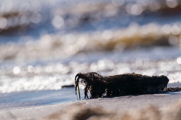 Severodvinsk
White Sea