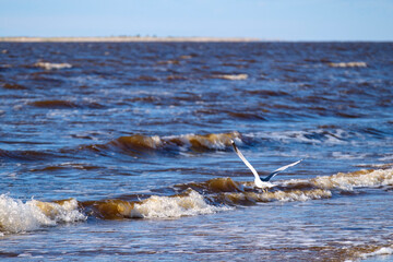 Severodvinsk
White Sea