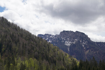 Radtour bei Bergen / am Hochfelln - Blick nach Süden Richtung Hörndlwand/Gurnwandkopf 