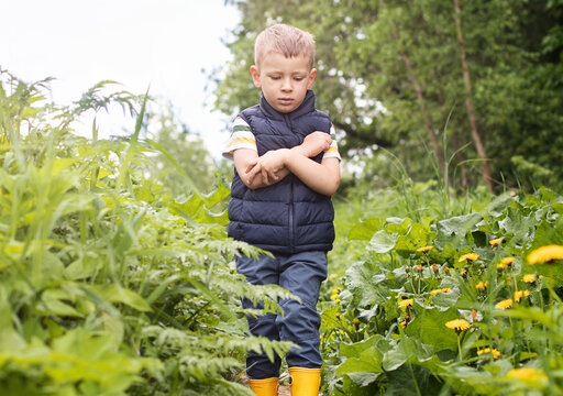 A little boy in rubber boots walks through a thicket of burdock and is bitten by mosquitoes Countryside vacation concept
