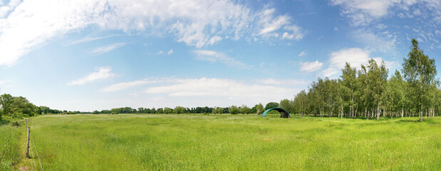 Saftige Pferdeweide in der Elbeaue - Landschaft an der Elbe im Sommer