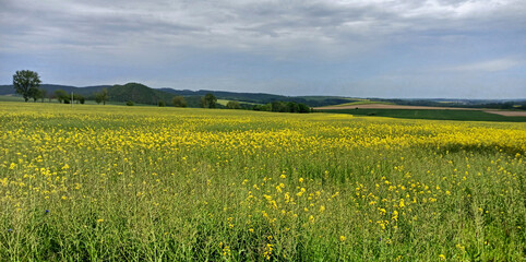 Panorama obszaru wiejskiego.