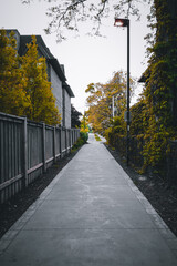 The narrow lane of Park