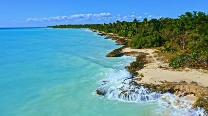 Ocean Tropical Beach Forest Landscape Caribbean Palms Lagoon