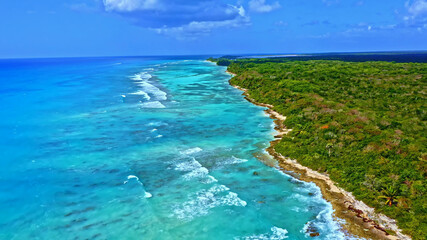 Ocean Tropical Beach Forest Landscape Caribbean Palms Lagoon